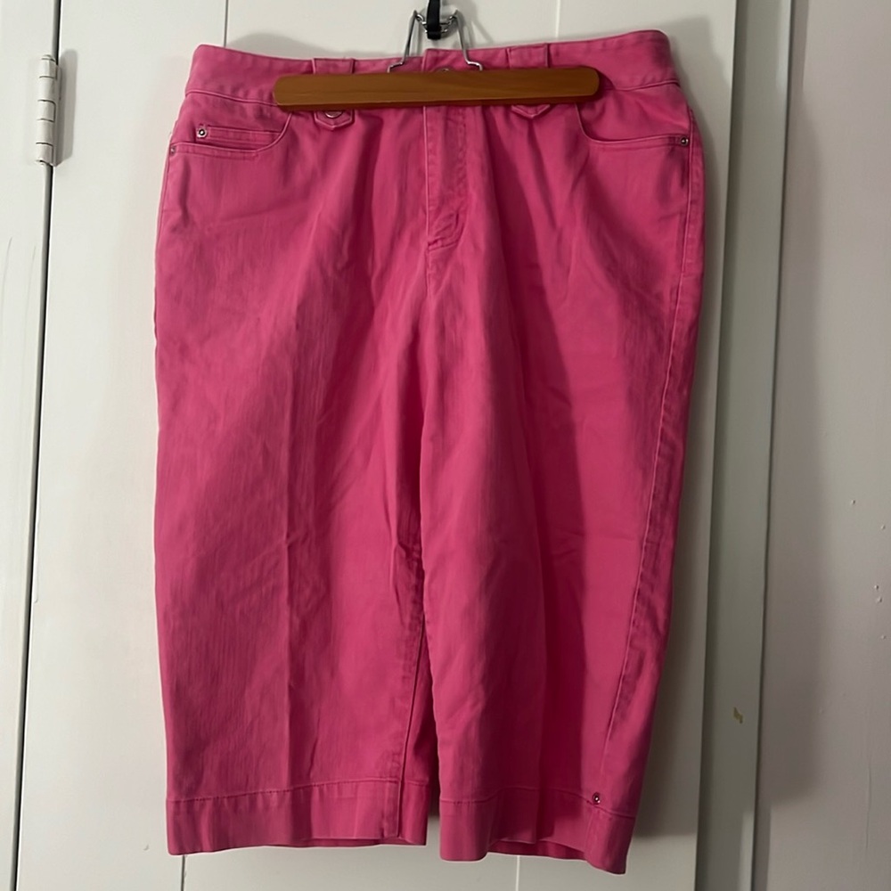 Pink size 12 Christopher & Banks capri pants